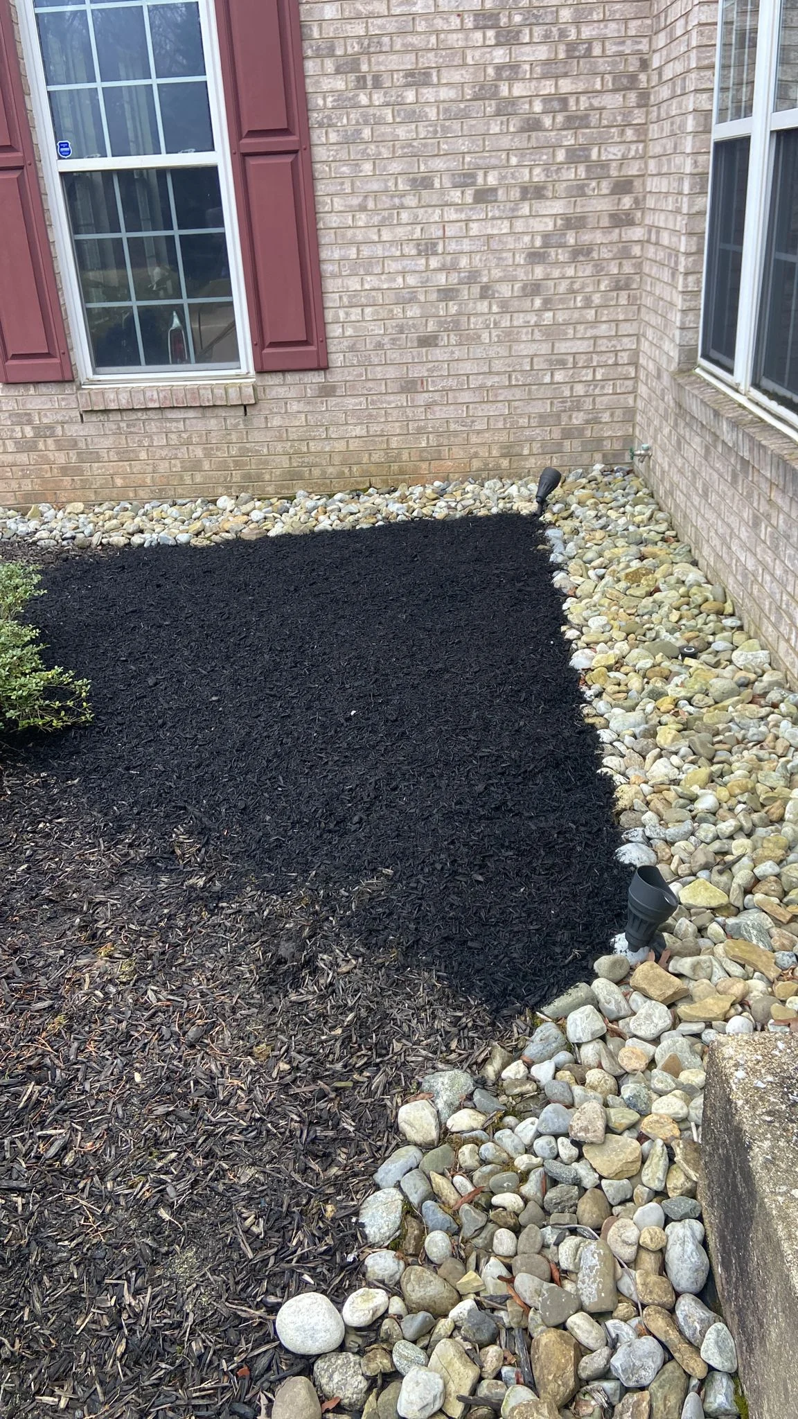 Tree & Shrub Care in Olney, MD